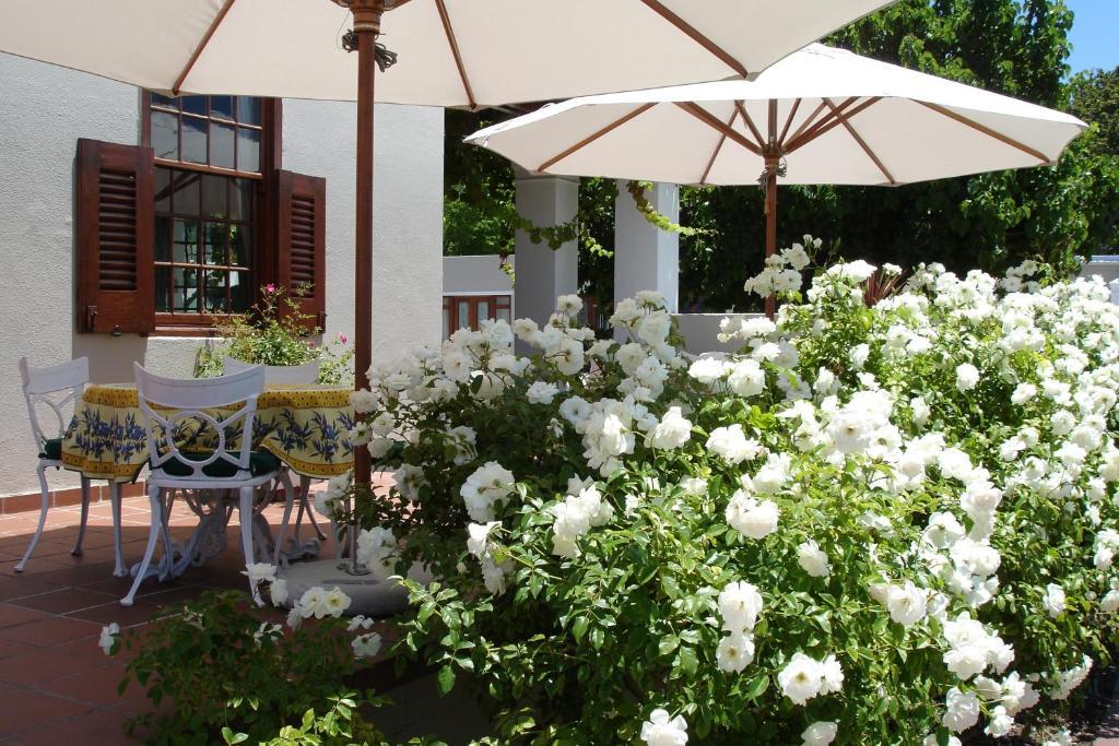 Glen Avon Lodge Boutique Hotel Kapsztad Zewnętrze zdjęcie